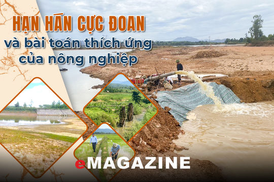 Kỳ 2: “Cuộc chiến” giữ nước tưới