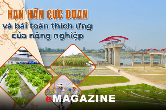Kỳ cuối: Thay đổi tư duy để ứng phó biến đổi khí hậu