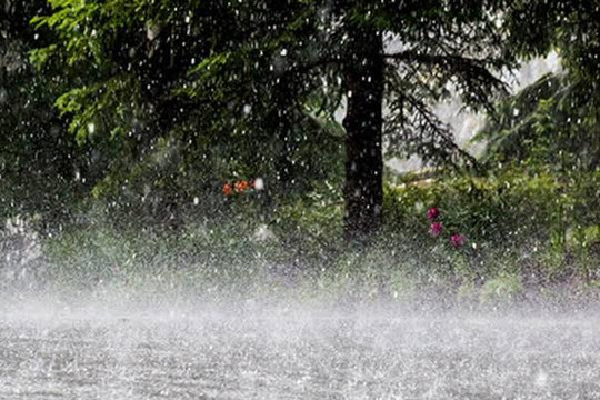 Cảnh báo dông, lốc, sét, mưa đá và mưa lớn cục bộ trên địa bàn tỉnh Nghệ An