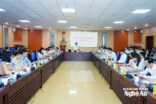 Thường trực Hội đồng nhân dân tỉnh họp phiên thường kỳ tháng 6/2026