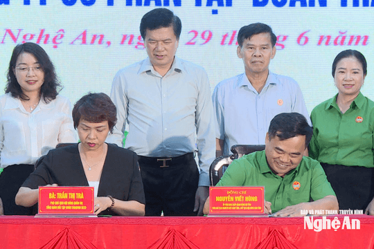 Sơ kết công tác Hội và phong trào nông dân 6 tháng đầu năm 2026