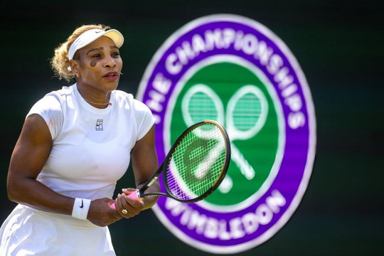 Serena Williams tái xuất Wimbledon 2026: Novak Djokovic và những lời gan ruột