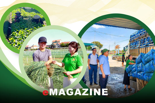 Nông dân tiên phong mở lối làm giàu ở Quỳnh Anh