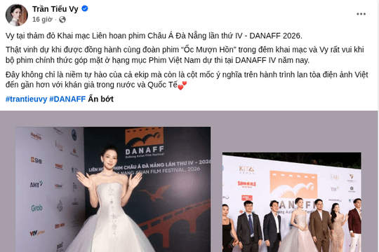 Hoa hậu Tiểu Vy gây ấn tượng tại thảm đỏ DANAFF 2026 với diện mạo thần tiên tỷ tỷ