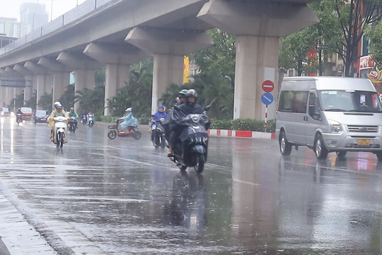 Áp thấp nhiệt đới trên Biển Đông ngày 01/07/2026: Dự báo mạnh lên thành bão, giật cấp 12