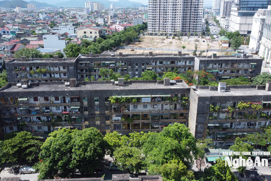 Phấn đấu hoàn thành di dời toàn bộ cư dân chung cư C5, C6 Quang Trung trước ngày 19/7