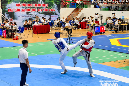 Võ sĩ Taekwondo Nguyễn Nhật Quân và hành trình đến những tấm huy chương