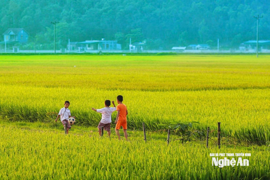 Thời tiết Nghệ An ngày 12/7: Ngày trời nắng, nhiệt độ cao nhất 36 độ C
