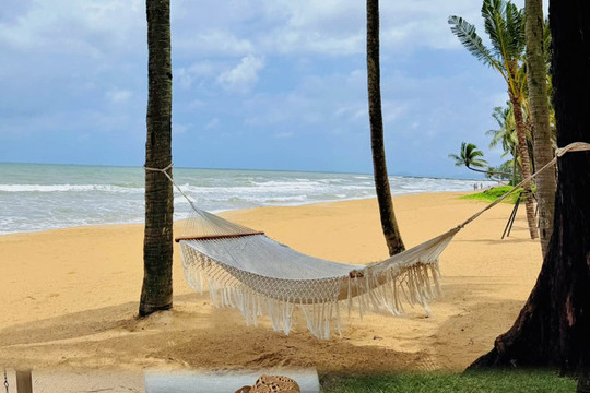 Hoa hậu Bùi Quỳnh Hoa gây chú ý với vóc dáng săn chắc và cơ bụng số 11