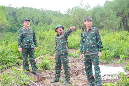Bộ CHQS tỉnh Nghệ An kiểm tra công tác chuyển đổi đất quốc phòng phục vụ Dự án cao tốc Vinh - Thanh Thủy