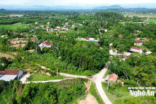 Sau sáp nhập, Tân An nâng chất lượng đội ngũ cán bộ xóm