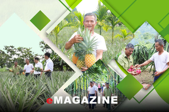 Người 'gieo màu xanh' ở bản Chào