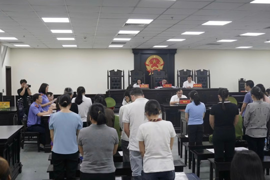 Giám đốc sản xuất sản phẩm dinh dưỡng giả lĩnh 26 năm tù
