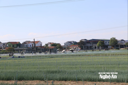 Thời tiết Nghệ An ngày 22/7: Ngày nắng nóng, gió Nam đến Tây Nam cấp 2 - 3