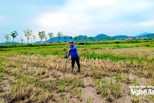 Nghệ An đã cập nhật hơn 2,2 triệu thửa đất trên hệ thống cơ sở dữ liệu quốc gia