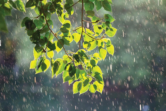 Dự báo thời tiết 10 ngày từ 22/07/2026 đến 01/08/2026: Bắc Bộ và Nam Bộ đón mưa lớn diện rộng