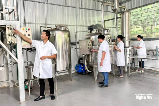 Nghệ An triển khai Kế hoạch bình chọn sản phẩm công nghiệp nông thôn tiêu biểu năm 2026