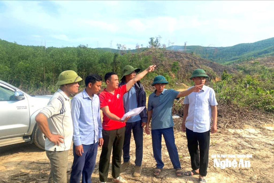 Công ty Nông lâm nghiệp Sông Hiếu bàn giao đất phục vụ tái định cư Dự án hồ chứa nước Bản Mồng