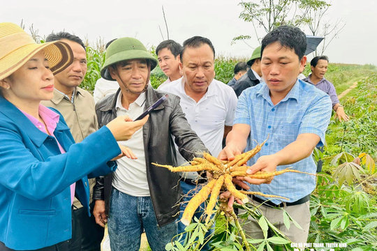 Kỳ vọng đột phá từ Đề án phát triển cây, con chủ lực giai đoạn mới