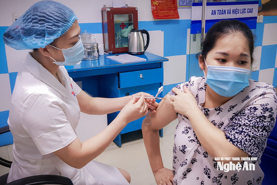 Nghệ An đồng bộ các giải pháp loại trừ viêm gan vi rút