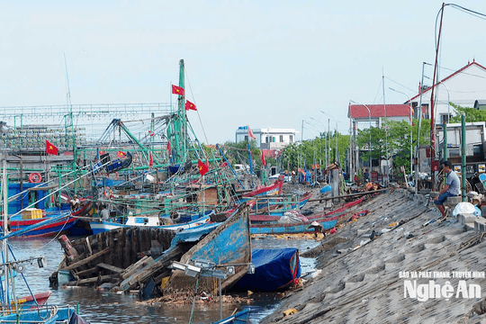 An toàn neo đậu tàu thuyền mùa mưa bão