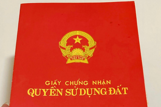 Sổ đỏ cấp không đúng đối tượng sử dụng đất có bị thu hồi?