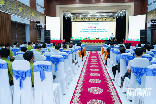 Nâng cao ý thức, trách nhiệm của cả hệ thống chính trị, chủ rừng và người dân trong công tác bảo vệ và phát triển rừng