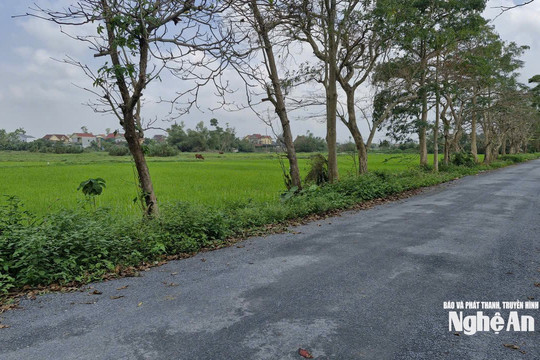 Hơn 10 năm chờ hoàn thiện hạ tầng khu tái định cư