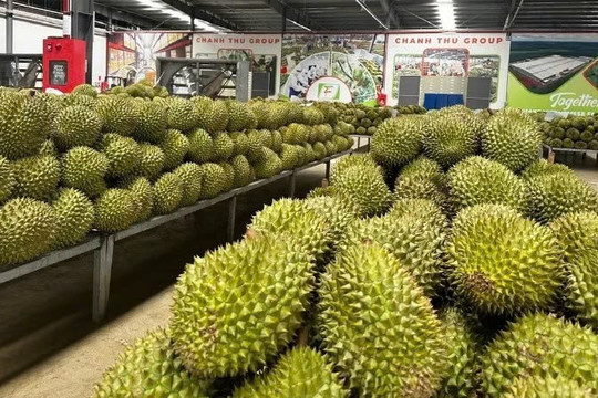 Đơn giản hóa thủ tục hành chính về mã số vùng trồng, mã số cơ sở đóng gói