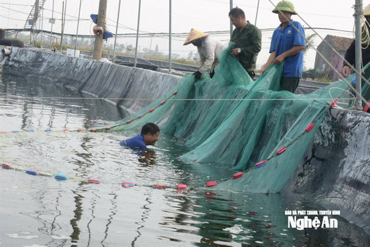 Sau 3 tháng sáp nhập, Trung tâm Khuyến nông phát huy sức mạnh mới