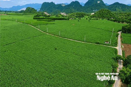 Thời tiết Nghệ An ngày 7/8: Có mưa rào và dông, cục bộ có mưa vừa đến mưa to