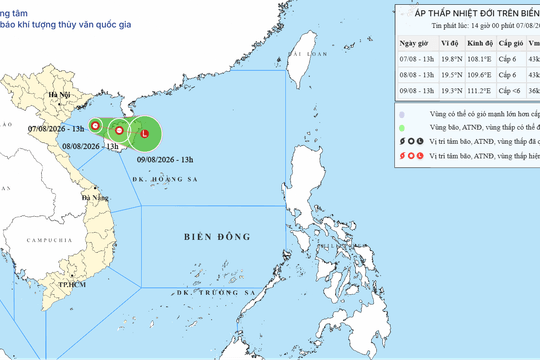 Áp thấp nhiệt đới trên Biển Đông ngày 07/08/2026: Vịnh Bắc Bộ gió giật cấp 8