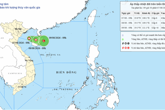 Áp thấp nhiệt đới hình thành trên Vịnh Bắc Bộ ngày 07/08/2026: Gió giật cấp 8, biển động