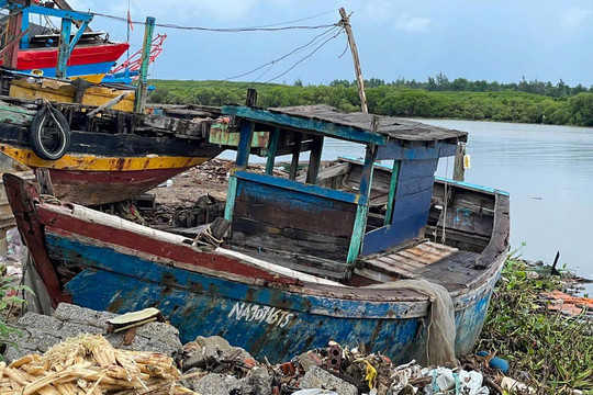 “Xác tàu” bủa vây khu neo đậu Lạch Vạn