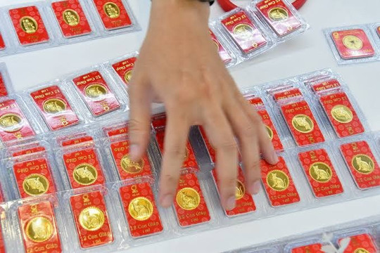 Giá vàng chiều 14/8/2026: Giá vàng SJC, nhẫn 9999 và giá vàng thế giới ngày thứ Sáu