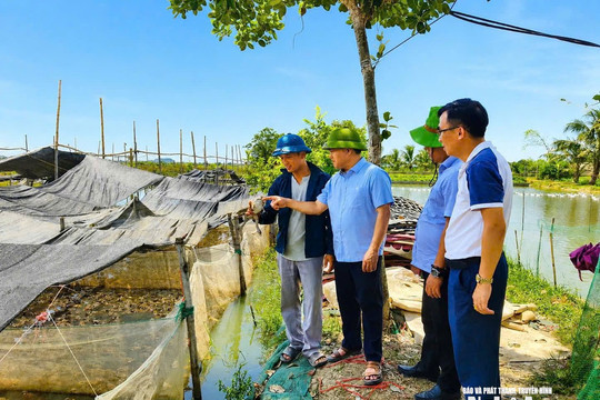 Khơi dậy khát vọng khởi nghiệp sáng tạo trong nông dân