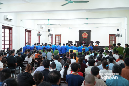 Tuyên án 48 bị cáo trong đường dây lừa đảo xuyên quốc gia, chiếm đoạt hơn 71 tỷ đồng