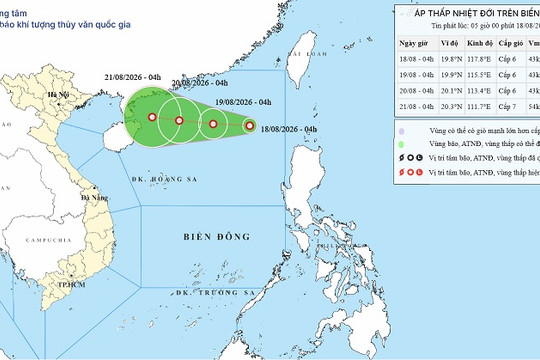 Tin áp thấp nhiệt đới trên khu vực Bắc Biển Đông ngày 18/08/2026, cảnh báo giật cấp 8