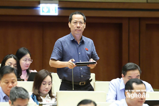 ĐBQH tỉnh Nghệ An đề xuất hoàn thiện cơ chế giá đất, gỡ vướng thu hồi dự án chậm tiến độ