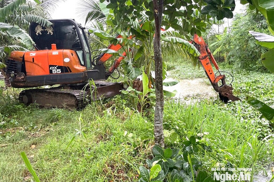 Nghệ An khẩn trương tiêu úng, giảm thiệt hại do mưa lớn