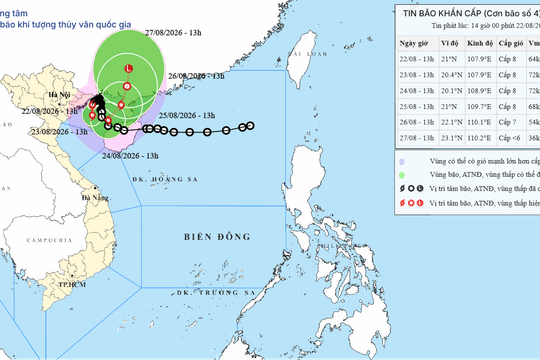 Bão số 4 ngày 22/08/2026: Quảng Ninh, Hải Phòng mưa đến trên 600mm, gió giật cấp 10