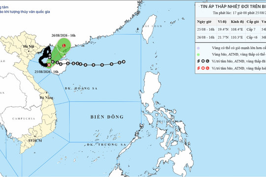Cảnh báo áp thấp nhiệt đới trên Vịnh Bắc Bộ ngày 26/08/2026: Biển động, gió giật cấp 9