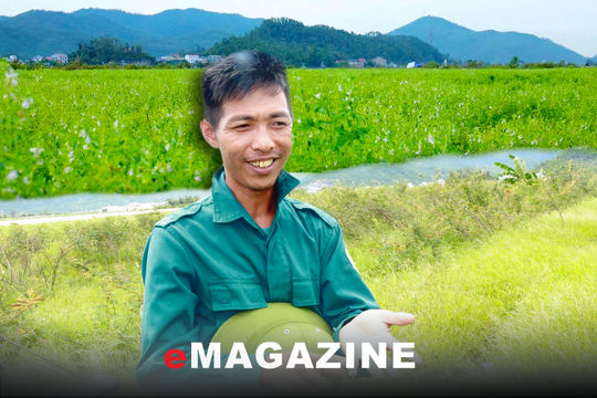 “Kể chuyện” cánh đồng trên không gian số