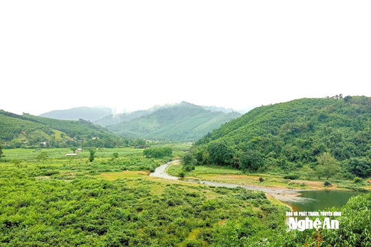 11 cộng đồng dân cư ở Nghệ An được hưởng lợi từ nguồn thu từ thỏa thuận chi trả giảm phát thải khí nhà kính (ERPA)