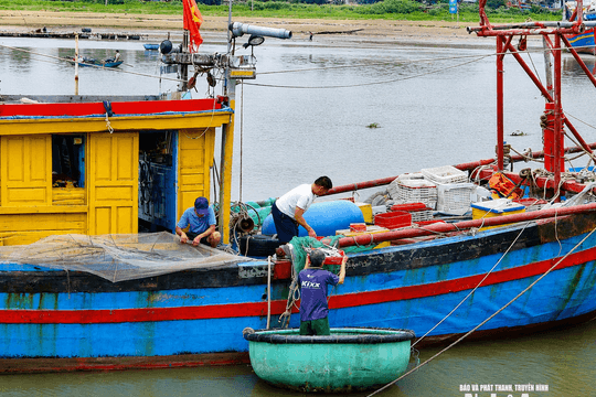 Hải sản tăng giá, ngư dân Nghệ An tranh thủ ra khơi