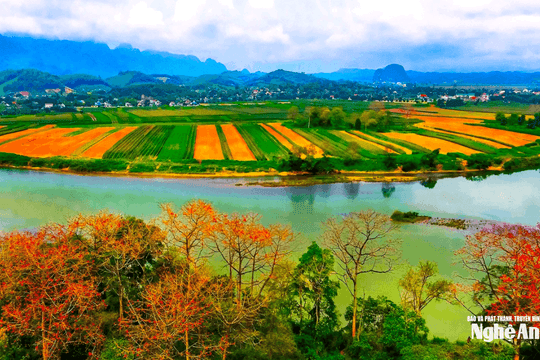 Đánh thức 'vàng xanh' từ cánh rừng và đồng ruộng Nghệ An