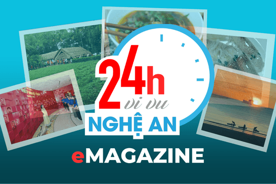 24h vi vu Nghệ An