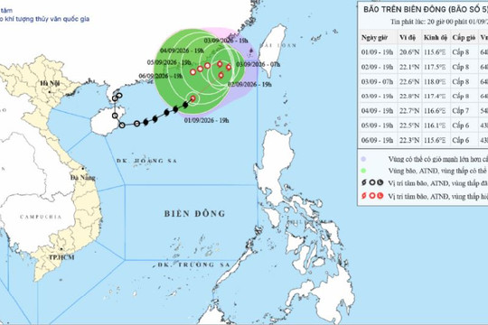 Bản tin bão số 5 trên vùng biển Bắc Biển Đông ngày 01/09/2026: Gió giật cấp 10, sóng cao