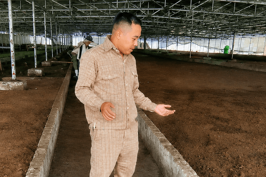 Cách nông dân Nghệ An làm kinh tế tuần hoàn