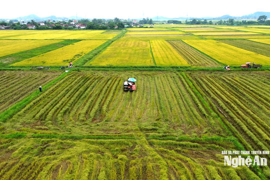 Thời tiết Nghệ An ngày 6/9: Ngày trời nắng, chiều và đêm có mưa rào và dông rải rác